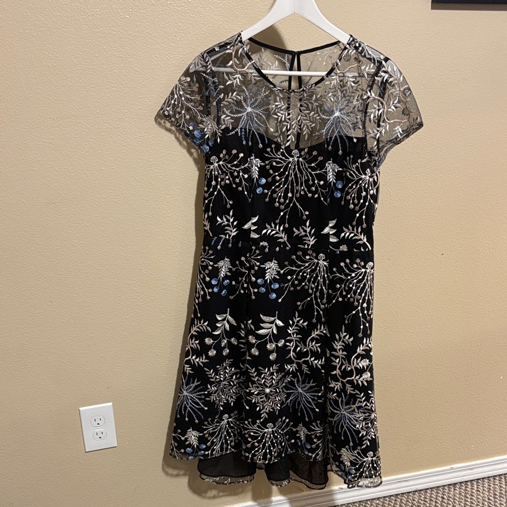 Adrianna Papell Black Dress with Silver Embroidery